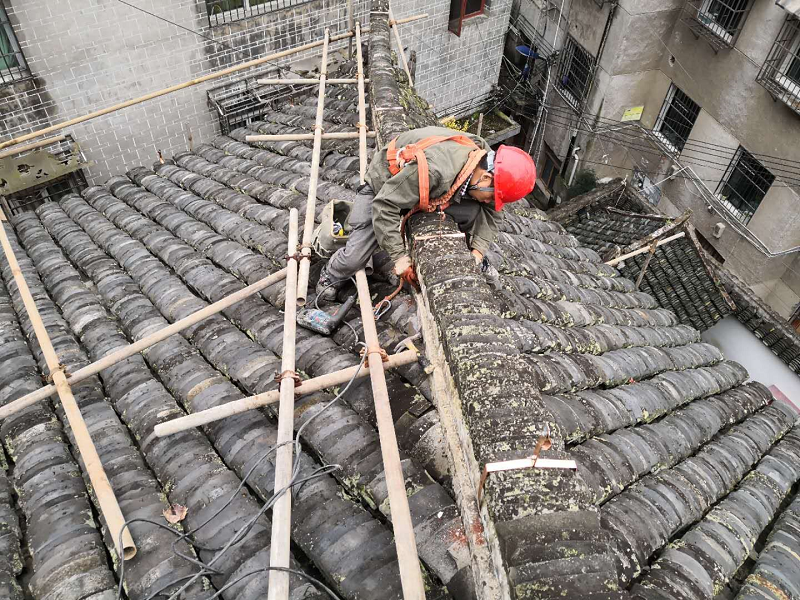 �Ž������׹��̰���