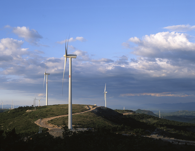 ����������׹��̰���