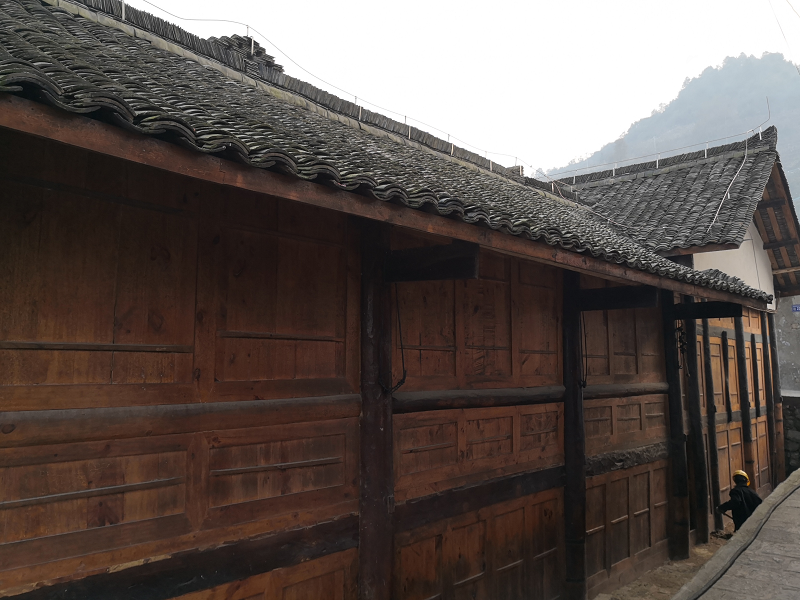 �Ž������׹��̰���