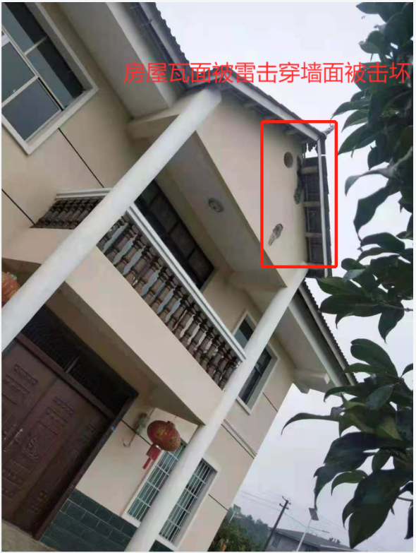 �׵���ɵ��ֺ�